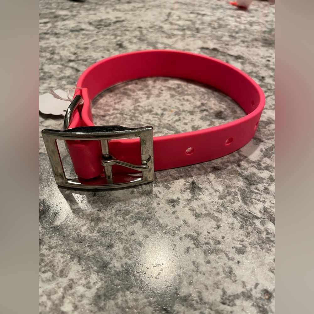 Biothane fluorescent pink dog collar with Silver Buckle size 12-15 inch 
New.